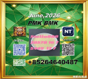 Sell cas 28578-16-7 Pm.k and cas 5449-12-7 Bm.k /