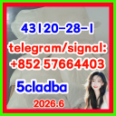 CAS 43120-28-1 1H-indazole-3-carboxylic acid methyl ester  5CLADBA