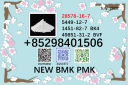 CAS 28578-16-7 BMK CAS 5449-12-7 factory supply 49851-31-2 / 1451-82-7 with best price