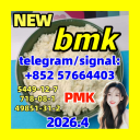 CAS 5449-12-7 BMK Glycidic Acid (sodium salt) With Best Price