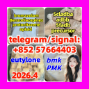 Bmk Powder Oil Cas 5449-12-7 at Best Price