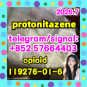 Protonitazene (hydrochloride) CAS:119276-01-6