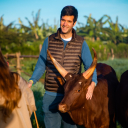 Buy Ankole Cattle, Ankole Cattles Suppliers in South Africa +27631501216”.