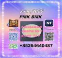 FACTORY SUUPLY cas 28578-16-7 PM-K and cas 5449-12-7 BM.K