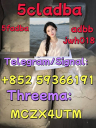 5CL-ADB supplier 5cladba 5cladb vendor on sale now