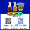 PM.K CAS 28578-16-7 flexible supply, BM.K CAS 5449-12-7 consistent
