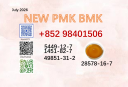 Best price cas 5449-12-7 and 28578-16-7 BMK PMK powder
