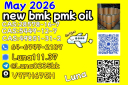 Ethyl Glycidate 28578-16-7 New PMK Power Trier