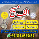 Famous amil baba,  Bangali Amil baba,  Amil baba Bangali,  Bangali Amil,  amil baba in faisalabad,  najoomi baba in pakistan,   kala jadu amil baba,  real amil baba,  Amil baba Kala jadu,  ,