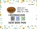 cas 28578-16-7 BMK oil cas 5449-12-7 PMK powder manufacturer Top sellers
