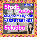 5cladba 5cl 5cladba precursors 5cl-adbb