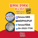 BMK CAS 5449-12-7  Glycidic Acid sodium salt   Organic Yellow Powder  High Yield