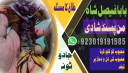 najoomi baba in pakistan,famous amil baba karachi