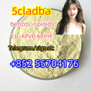 High Quality And Low Price 5cladba 5cladbb 5cl Powder