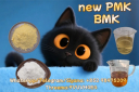 NEW PMK BMK CAS 5449-12-7 & CAS 1451-82-7 Alternative Raw Materials Precursor 2026.5