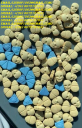 Signal:@Realjames.39 Sell 5fadb MDMB-BUTINACA 5cladba ADB-FUBIATA K2 precursors spice
