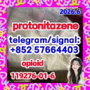 119276-01-6 Protonitazene (hydrochloride) - HEBEI