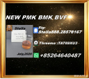 Chemical Sourcing Expert New PM.K cas 28578-16-7/ BM.K CAS:5449-12-7/