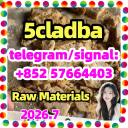 5cl 5cladba best cannabinoid 5cladba precursor raw 5cl-adb-a