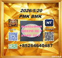 Premium quality product cas 28578-16-7 PM.K Ethyl Glycidate