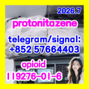 Protonitazene CAS 119276-01-6 |