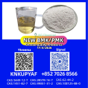 PM.K CAS 28578-16-7 with BM.K CAS 5449-12-7 stocked