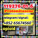 Protonitazene CAS 119276-01-6  (hydrochloride)，opioid