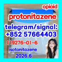 Protonitazene (hydrochloride) 119276-01-6