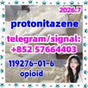 CAS 119276 01 6 Protonitazene