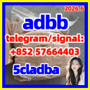 buy 5cl 5cladba precursor yellow powder best supplier