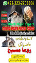 kala jadu expert, Black magic expert, love marriage specialist astrologer, Famous amil baba, Bangali Amil baba, Amil baba Bangali, Bangali Amil, najoomi baba in pakistan, kala jadu amil baba, real amil baba, Amil baba Kala jadu,