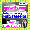 Cas 119276-01-6 Protonitazene (Hydrochloride)