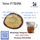 NEW PMK BMK CAS 5449-12-7 High Quality Huge Quantity Reliable Factory