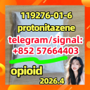 Protonitazene 119276-01-6 Opioid 返回