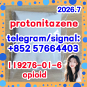 119276-01-6 /Protonitazene