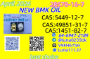 Ethyl Glycidate 28578-16-7 New PMK Power Trier