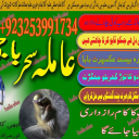 kamiyab'kalajadu#amil baba powerfull amil baba japan astrolgoer #pakistan specialist baba rawalpindi amil babapakistan 03253991734