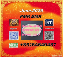 Good quality cas 28578-16-7 PM.K and cas 5449-12-7 BM.K /49851-31-2