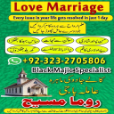 Kala jadu expert,  Black magic expert,  Famous amil baba,  Bangali Amil baba,  Amil baba Bangali,  Bangali Amil,  Amil baba,