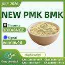 BMK Glycidic Acid Sodium Salt CAS 5449-12-7 | China Manufacturer Direct Supply High Purity 99% Bulk Export