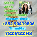 Strongest 5cladba raw material 5CL-ADB-A precursor raw