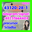 Factory 99% 1h-Indazole-3-Carboxylic Acid Methyl Ester Powder CAS 43120-28-1
