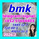 CAS 5449-12-7 BMK 2-methyl-3-phenyl-oxirane-2-carboxylic acid Powder