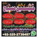 amil baba pakistan, Amil Baba in Lahore, Amil baba in Karachi, amil baba,  Amil baba in USA, Love Marriage Expert, Black Magic removal,  Kala jadu expert amil baba, amil baba in UK,