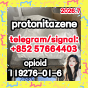 Factory Supply Protonitazene hydrochloride CAS 119276 01 6