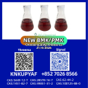 PM.K CAS 28578-16-7 plus BM.K CAS 5449-12-7 and CAS 1451-82-7 stocked