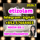 40054-69-1 etizolam