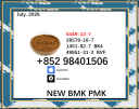 5449-12-7 BMK powder glycidic acid sodium salt PMK 28578-16-7