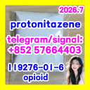 Protonitazene (hydrochloride) CAS 119276-01-6