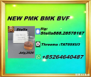 New PM.K 28578-16-7/ BM.K CAS:5449-12-7/ Worldwide Network